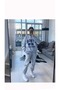 Printed Oversize Winter 3 Thread Gray-Black Crew Neck Sweatshirt and Sweatpants Set for Women