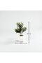 Elegant artificial olive branches in a 50cm white round pot - 3