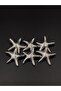 Metal Button Starfish Free Nickel 6 Pieces - 3