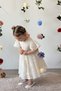 Baby Girl Dress Short Sleeve Bow Detail Birthday Party Wedding Special Occasion Formal Children's Dress - 4