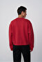 Basic Sweatshirt - 4