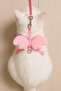 Angel Cat Collar (Cat and Kitten) Travel Collar Mixed Color - 3