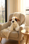 Tatlı Köpek Peluş Oyuncak 40cm - 5