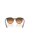 RB 2204 14293B 54 نظارات شمسية للجنسين - 6