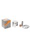 ATOMIZOR cu piston complet 3A