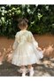 Baby Girl Dress Long Sleeve Flowy Cotton Birthday Party Special Occasion Wedding Girl Kids Dress - 4