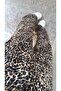 Leopard Patterned Silk Satin Trousers - 4