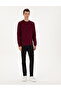 Burgundy Regular Fit Sweatshirt 50311649-Vr177 - 5