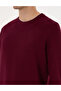 Burgundy Regular Fit Sweatshirt 50311649-Vr177 - 7