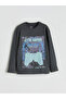 Lcw Kids Printed Long Sleeve Boys' T-Shirt 3-Pack - 2