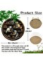 MULTI 1pc, cat lover round wooden hanging sign 20cm x 20cm, whimsical cat in library wall art, multi - 6