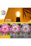 4w Yes E27 220V 6PACK 4W Globe Led Light Bulbs G45 E27 Medium Base Warm White 2700K 40 Watt Equivale - 4