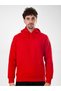 Basic Regular Hoodie C108