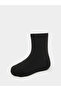 Pack of 3 - Unisex Plain Socks - 6
