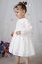 Girls' Dress Long Sleeve Ruffled V-Neck Special Occasion Birthday Wedding Party Daily Baby Girl Dress - 4