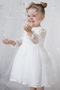 Baby Girl White Dress Tulle Tutu Lace Birthday Party Wedding Special Occasion Girls Kids Evening Dress - 3