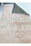 سيكاد شونيل - 3