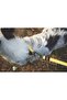 Wild Safari Leash Regular (S-M) - 3