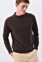 Men's Slim Fit Cotton Thessaloniki Fabric Crew Neck Sweatshirt Brown