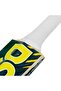 Roar Blast Kashmir-Willow Cricket Bat, Boy's Size 2 - 4