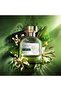 ماء عطر أرتيستيك ماجنوليا - 50 مل - 3