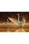 Cakasepetim Peregrine Falcon and Chick 500 Piece Puzzle Jigsaw Mdf (Wood)