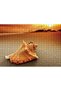 Cakasepetim Seashell 500 Piece Puzzle Jigsaw Mdf (Wood)