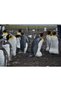 Cakasepetim Emperor Penguins and Baby 1000 Piece Puzzle Jigsaw Mdf (Wood)
