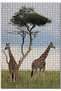 Cakasepetim 1000 Piece Puzzle Jigsaw Puzzle Mdf (Wood) with Double Giraffe Image in Africa
