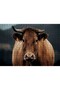 Cakasepetim Brown Cow Close-Up Flu Background 500 Piece Puzzle Jigsaw Puzzle Mdf (Wood)
