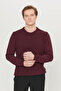 Men's Burgundy Cotton Standard Fit Regular Cut Crew Neck Jacquard Knitwear Sweater - 3