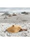 Oversized Fashion Straw Weaving Beach Sunshade Hat - 2