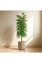 155cm Artificial Bamboo Leaf Tree