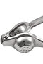 Metal Lemon Hot (Hand-Pressed Model) (20cm) - 6