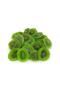 Dried Kiwi Fruit Slices, 1kg