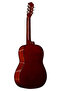 Acoustic Guitar TAS Glossy Finish - 3