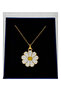 Daisy Model Women's Necklace with Gold Color Chain - 3