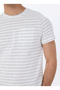 Altınyıldız Classics Crew Neck Striped Ecru Men's T-Shirt Ace091252120_Ehk - 4