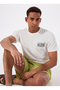 Billabong Scenic Arch Adiv Ss 24A 501539   Cream Crew Neck Regular Fit Plain Men's T-Shirt