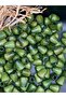 15 mm Khaki Green Drop Oval Wooden Beads (50 Grams 48 Pieces) Hole Diameter 6 mm Macrame Bag Jewelry Design - 3