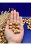14 mm Varnished Wooden Beads (50 Grams 48 Pieces) Narrow Hole Diameter 4 mm Macrame Bag Bracelet Jewelry Colorful - 2