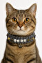 Handmade Durable Paracord Cat Collar with Meov Written Cat Charm and Beads (Keychain Gift)