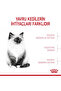 Kitten Dry Food for Kittens 400Gr - 6