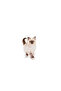 Kitten Dry Food for Kittens 400Gr - 3