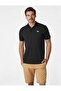 TRANSAT POLO - 2