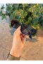 Aventino Black Slanted Cat Eye Tiny Slanted Trending Thin Sunglasses - 4