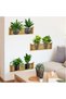 20X30Cm Adhesive Wall Sticker with Shelf Plant Design for Office Home Office Summer Garden - 3