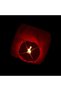 Flying lantern, Flippy, biodegradable paper, Red - 3