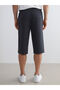 Anthracite Standard Fit Men's Shorts - 4