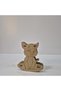Rocking Cat Wooden Painting Set |   Educational Wooden Toy for Kids |   Mdf Painting Activity (Demontable) - 3